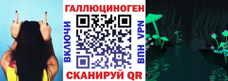 купить  цена  Дубовка  Галлюциногенные грибы Magic Shrooms 